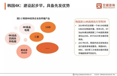 2019中国4K产业研究与商业投资决策分析报告