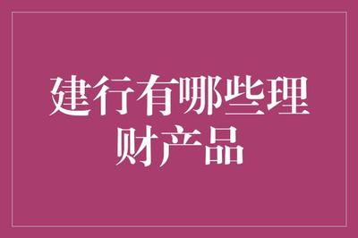 建行理财产品:稳健收益与灵活选择的完美结合