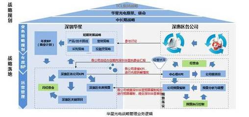 华星光电高级副总裁吴岚:华星人才的培养思考与实践I深度专访